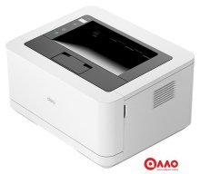 Принтер Deli P2000DNWs