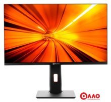 Моноблок ТЕСЛА P24BP 2116500