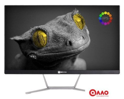 Моноблок ТЕСЛА Z24B 2108500