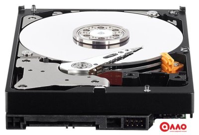 Жесткий диск WD Purple 1TB [WD10PURZ]