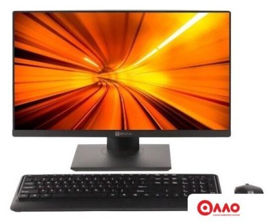 Моноблок ТЕСЛА P24BP 2116500