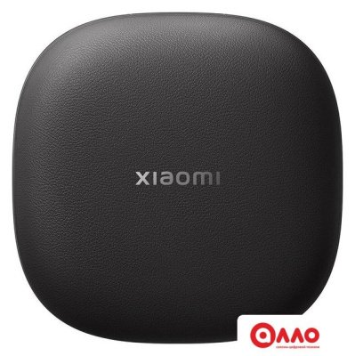 Наушники Xiaomi OpenWear Stereo M2503E1 (графитовый черный, международная версия) Наушники Xiaomi OpenWear Stereo M2503E1 (графитовый черный, международная версия)