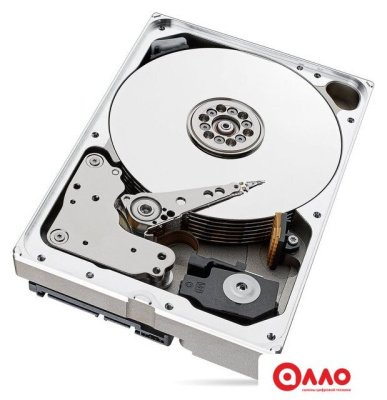 Жесткий диск Seagate SkyHawk AI 10TB ST10000VE000