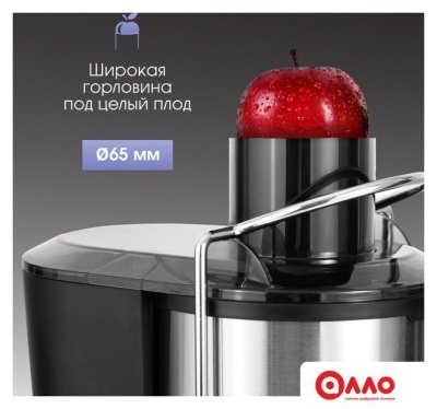 Соковыжималка Zigmund & Shtain EJ-757 Соковыжималка Zigmund & Shtain EJ-757