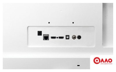 Телевизор LG 24TQ510S-WZ