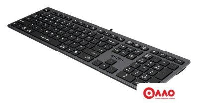 Клавиатура A4Tech Fstyler FX50 (серый)