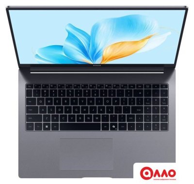 Ноутбук HONOR MagicBook X16 2025 BRG-385 5301ALXS