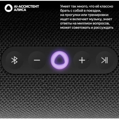 Портативная колонка Яндекс.Станция Стрит (YNDX-00030), черная