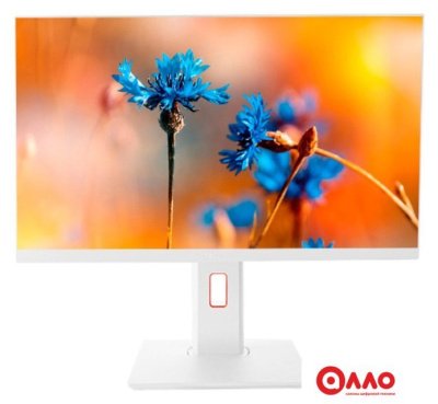 Моноблок ТЕСЛА P24WP 2108500