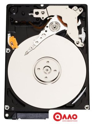 Жесткий диск Infortrend HESS10S3120-0030C 1.2TB