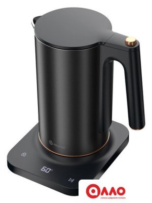 Электрический чайник Evolution KP22151L Thermocontrol