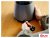 Стационарный блендер Bosch MMB6141S