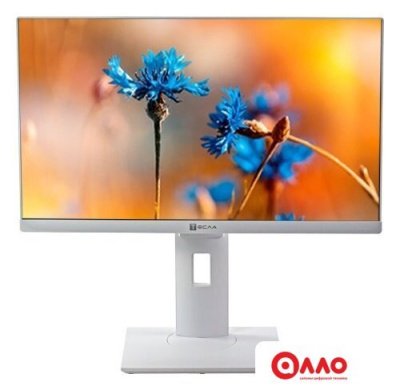 Моноблок ТЕСЛА P24WP 2116500