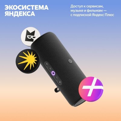 Портативная колонка Яндекс.Станция Стрит (YNDX-00030), черная