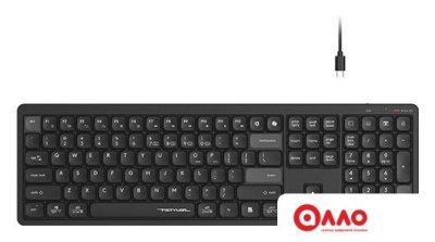 Клавиатура A4Tech Fstyler FBX55C (черный)