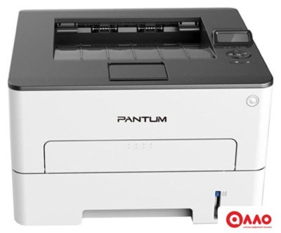 Принтер Pantum P3010DW