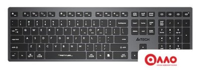 Клавиатура A4Tech Fstyler FBX50C (серый/черный)