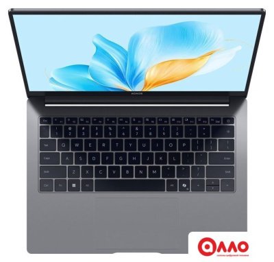 Ноутбук HONOR MagicBook X14 2025 FRG-X 5301ALXJ