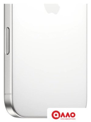 Телефон Apple iPhone 16 Pro Max 256GB (белый титан)