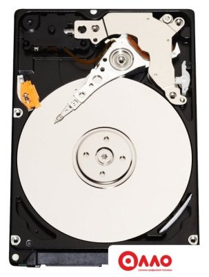 Жесткий диск Infortrend HESS10S3120-0030C 1.2TB Жесткий диск Infortrend HESS10S3120-0030C 1.2TB