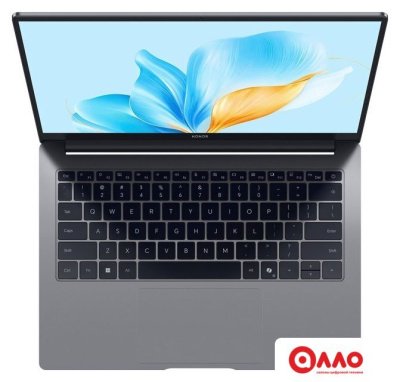 Ноутбук HONOR MagicBook X14 Plus 2025 FRB-X 5301ALWC