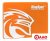 SSD KingSpec P3 512GB