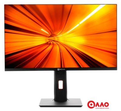 Моноблок ТЕСЛА P24BP 2116500