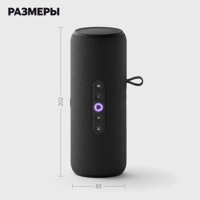 Портативная колонка Яндекс.Станция Стрит (YNDX-00030), черная