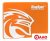 SSD KingSpec P3 512GB