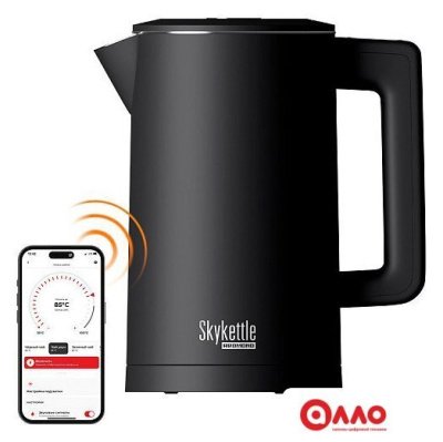 Электрический чайник Redmond (Редмонд) SkyKettle KM231S (черный)
