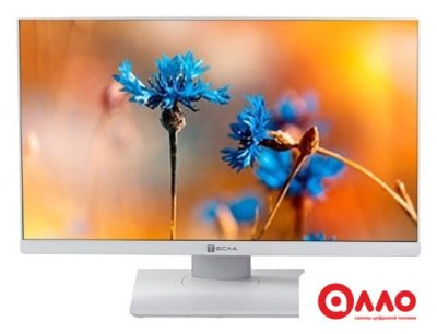 Моноблок ТЕСЛА P24WP 2416500