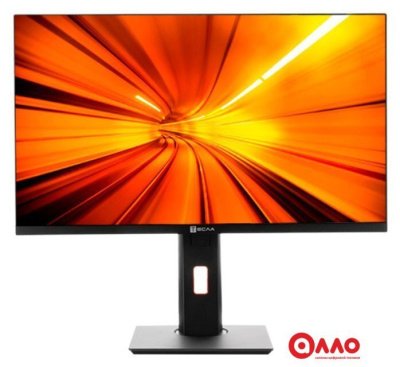 Моноблок ТЕСЛА P24BP 2116500