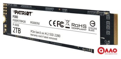SSD Patriot P300 2TB P300P2TBM28