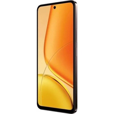 Смартфон Vivo Y29 8GB/256GB (V2434) горячий шоколад