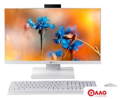 Моноблок ТЕСЛА P24WP 2116500