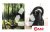 Пылесос Bosch Serie 2 BGLS2BA2