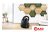 Пылесос Bosch Serie 2 BGLS2BA2