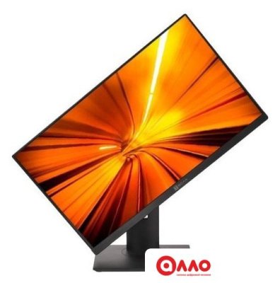 Моноблок ТЕСЛА P24BP 2116500