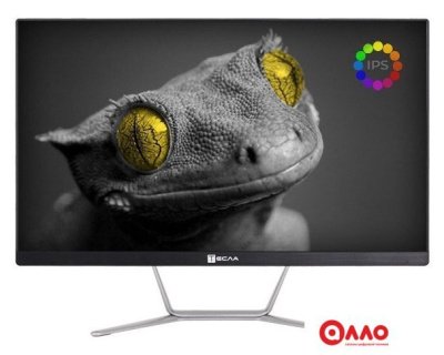 Моноблок ТЕСЛА Z24B 2108500