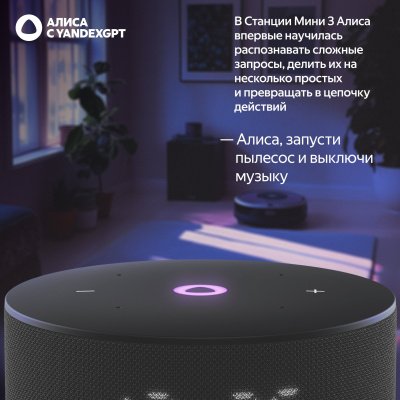 Портативная колонка Яндекс.станция Мини 3 YNDX-00027, черная