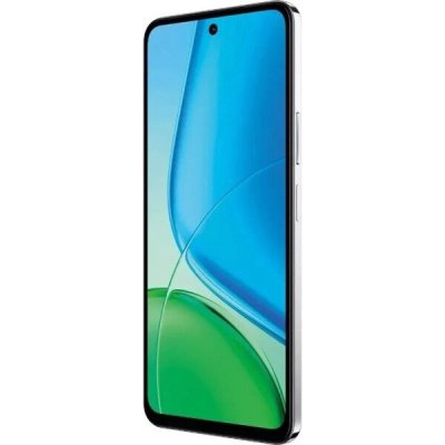 Смартфон Vivo Y29 8GB/256GB (V2434) ледяное озеро