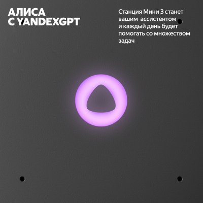 Портативная колонка Яндекс.станция Мини 3 YNDX-00027, черная