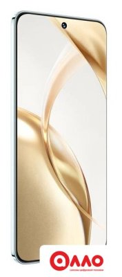 Телефон HONOR 200 12GB/512GB международная версия (изумрудно-зеленый)