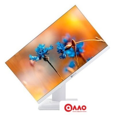 Моноблок ТЕСЛА P24WP 2116500