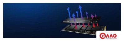 SSD Kingston KC3000 1TB SKC3000S/1024G