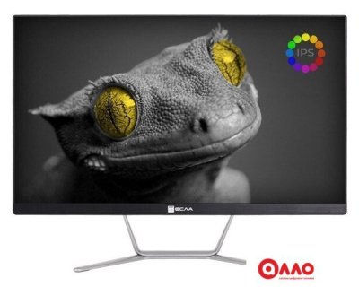 Моноблок ТЕСЛА Z24B 2116500