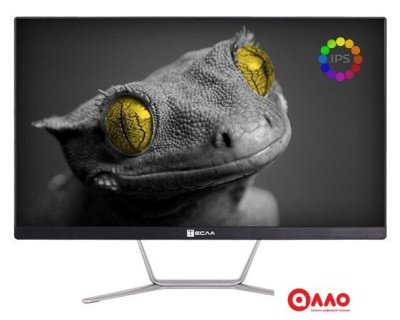 Моноблок ТЕСЛА Z24B 2108500