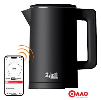 Электрический чайник Redmond (Редмонд) SkyKettle KM231S (черный)