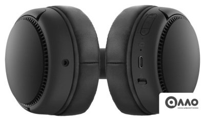 Наушники Panasonic RB-M300BGE-K