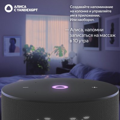 Портативная колонка Яндекс.станция Мини 3 YNDX-00027, черная